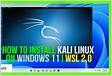 I cannot start my Kali Linux. When i launch my Kali Linux, it